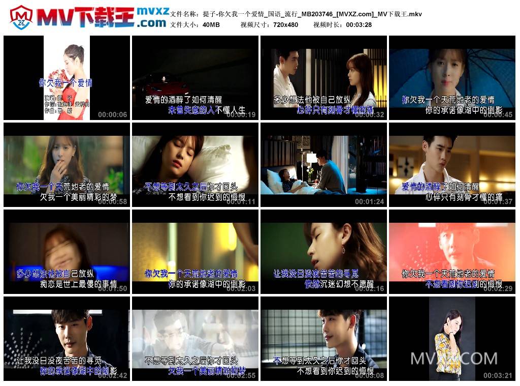 提子-你欠我一个爱情_国语_流行_MB203746